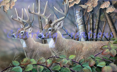 Blackberry Vines White Tail Deer
